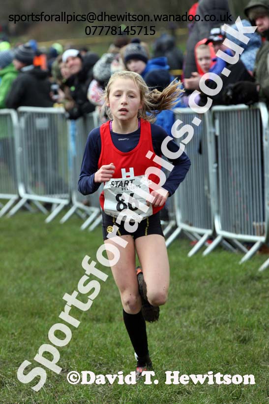Girls under-13 Northern Cross Country Champs., Witton Park, Blackburn. Photo: David T. Hewitson/Sports for All Pics